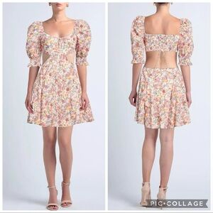 NWT 🍋 For Love And Lemons Arya mushroom and roses mini dress cut-out sides! Sass